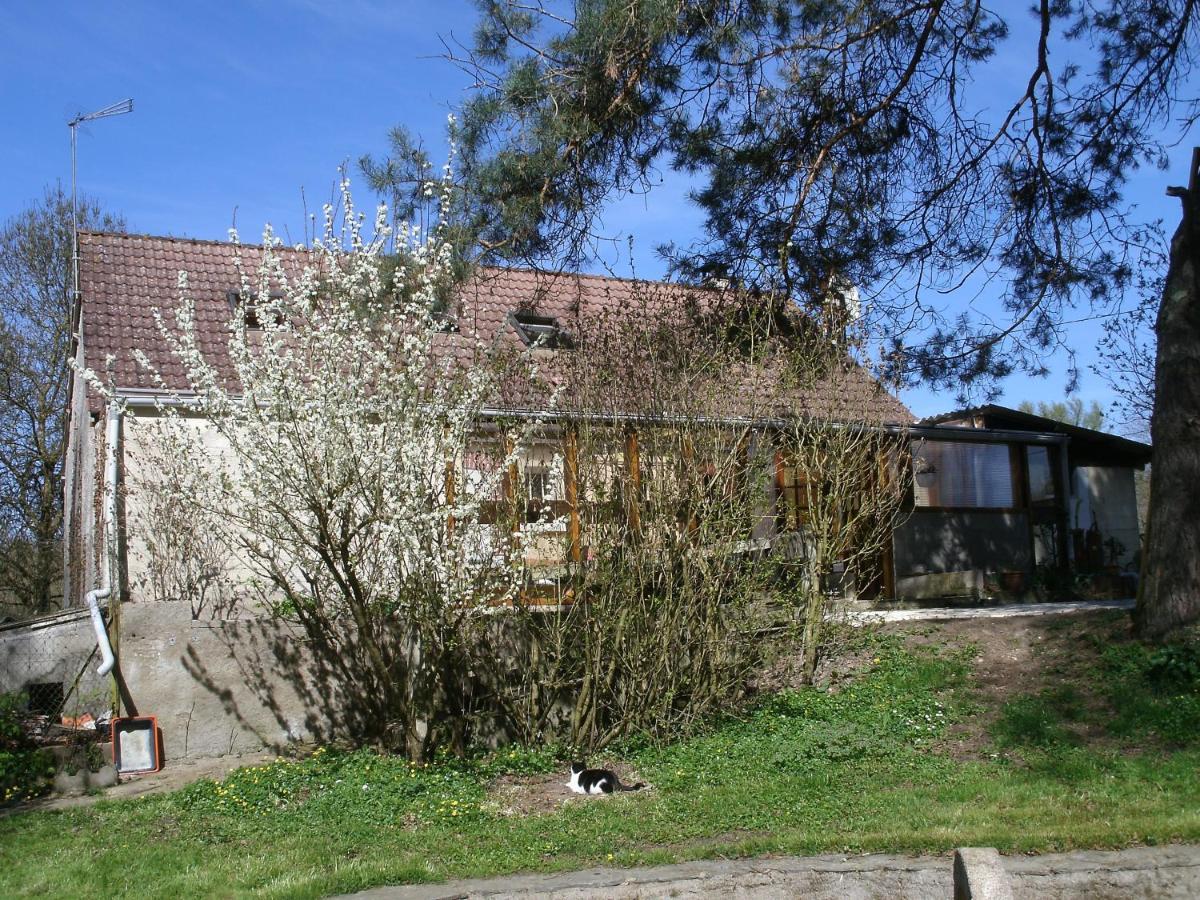 Chambres D'Hotes Du Moulin Saint-Julien-sur-Cher Zewnętrze zdjęcie